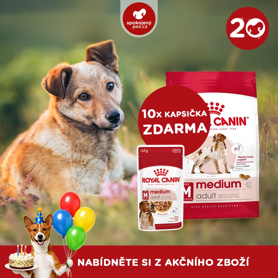 akční březen_4_CZ.webp